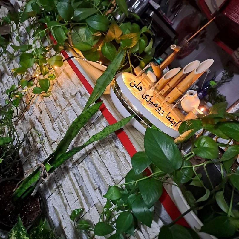 آبنما دکوری رومیزی بامبو مدل نیروانا